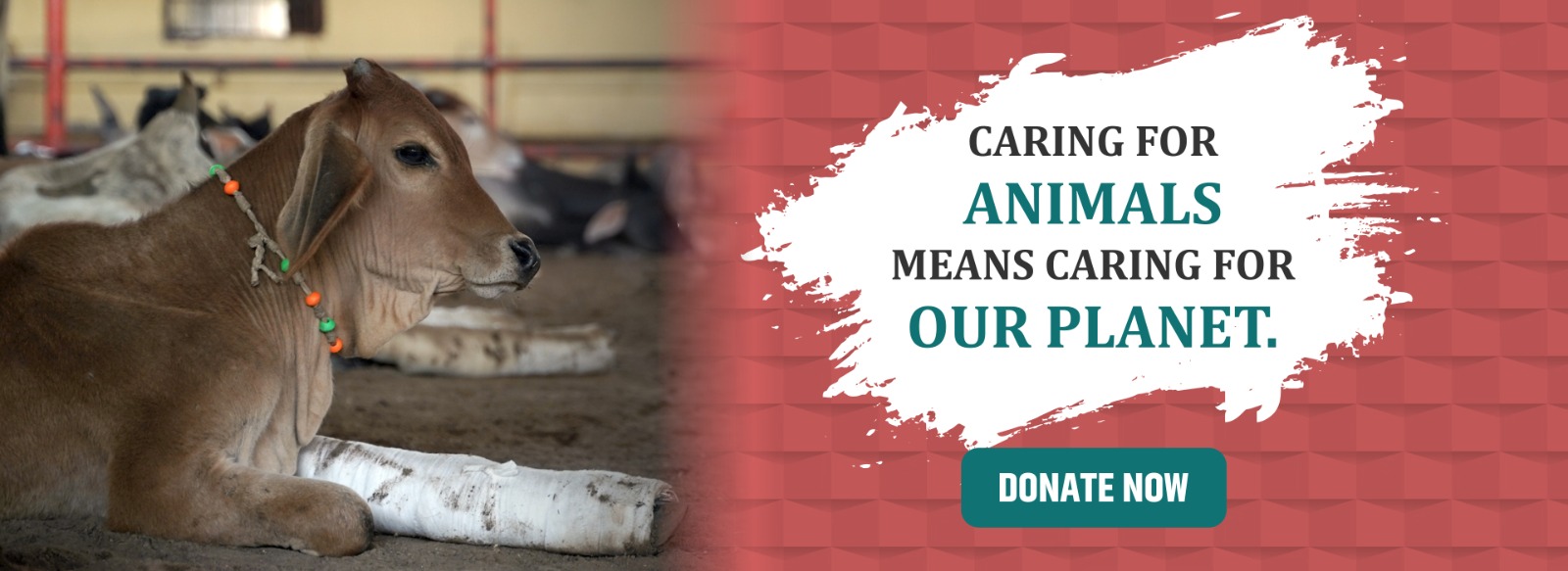 WhatsApp Image 2025-11-10 at 12.18.05