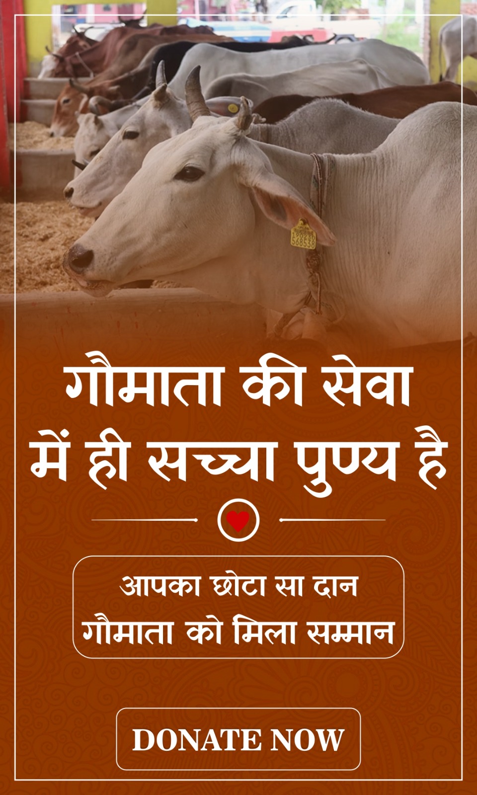 WhatsApp Image 2026-05-18 at 4.14.40 PM